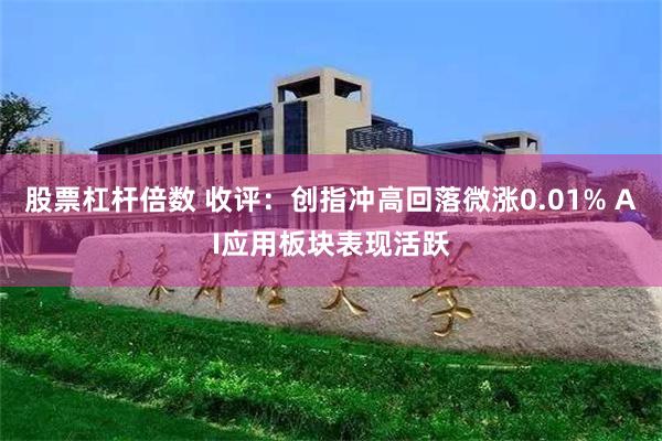 股票杠杆倍数 收评：创指冲高回落微涨0.01% AI应用板块表现活跃